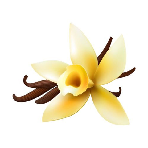 Vanilla Flavour Oil