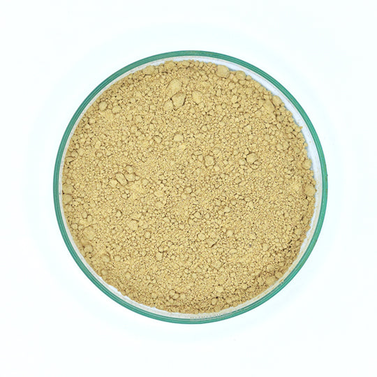 Wild Ginger Powder
