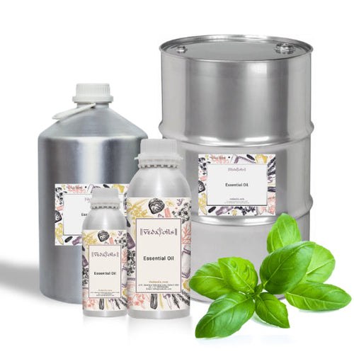 Sweet Basil Essential Oil
