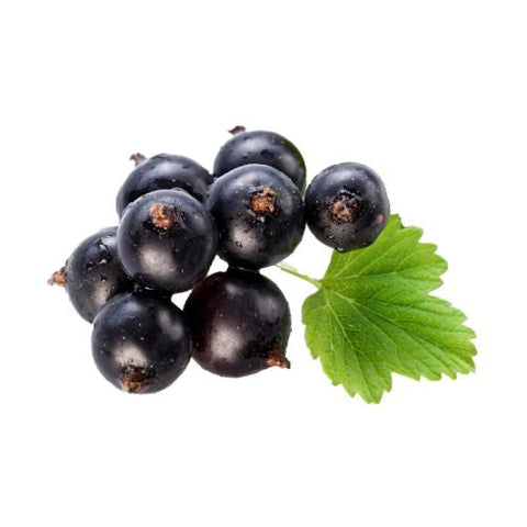 Black Currant Flavour Oil