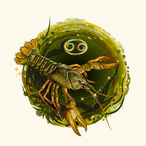 Cancer Zodiac Sign Essential Oil Blend