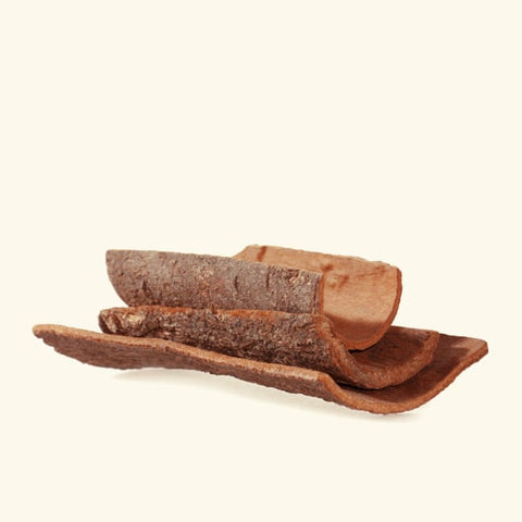 Cinnamon Bark Essential Oil