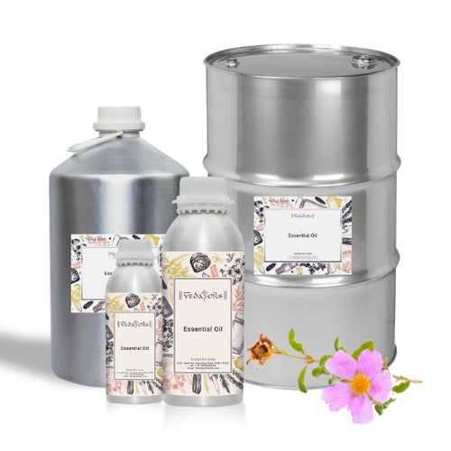 Cistus Essential Oil