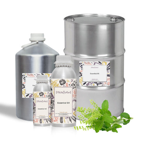 Holy Basil Essential Oil