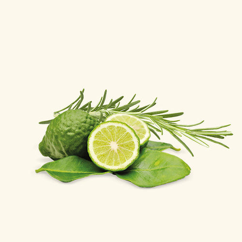 Swagger Fragrance Oil