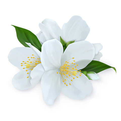 Jasmine Flavour Oil