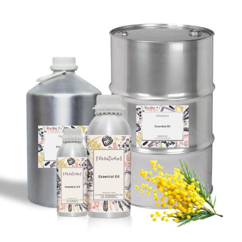 Mimosa Essential Oil Bulk