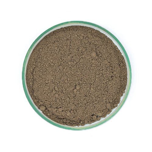 Noni Powder