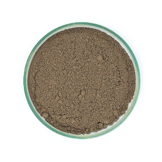 Noni Powder