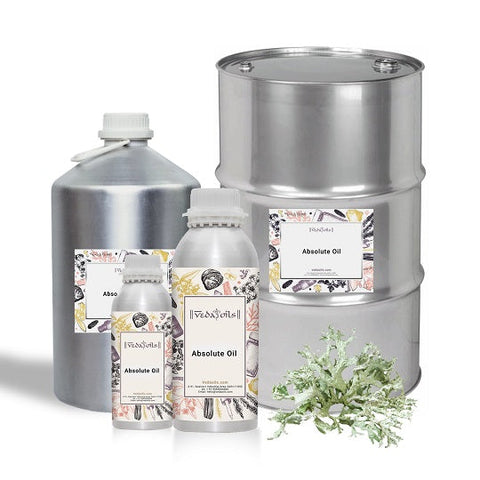 Oakmoss Absolute Oil