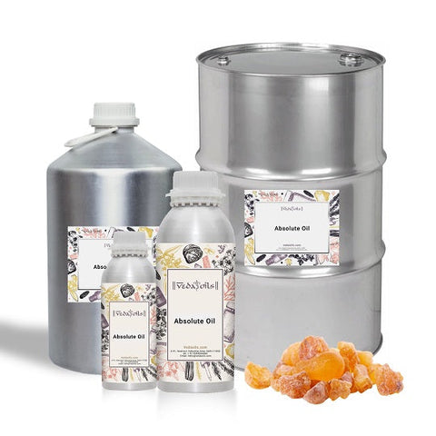 Olibanum Absolute Oil