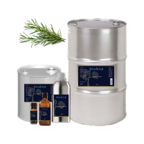 Rosemary Oleoresins