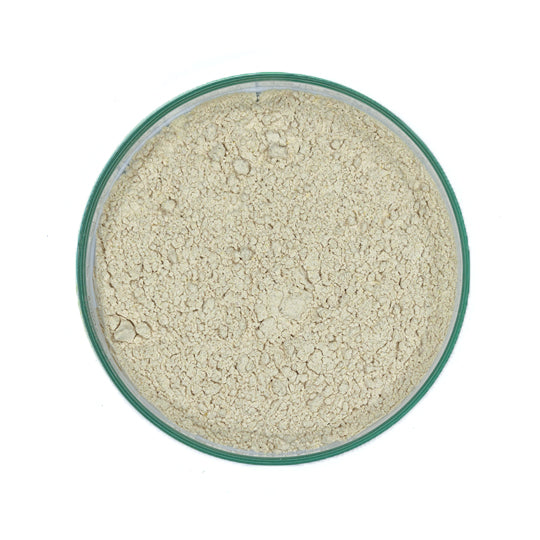 Shatavari Powder