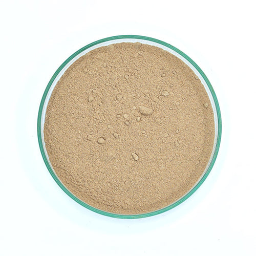 Shikakai Powder