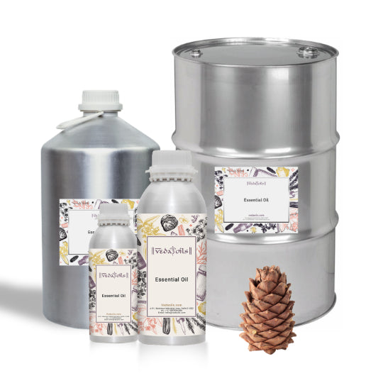 Siberian Fir Needle Oil