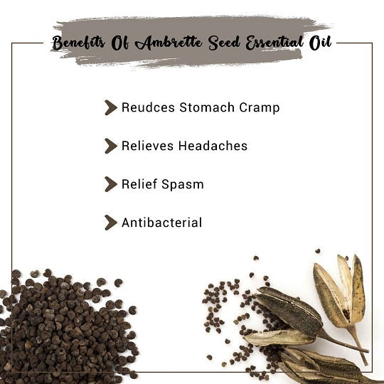 Ambrette Pod Buy Ambrette Seed Essential Oil Online in UK at Best Price | Bulk ...