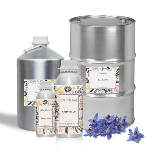 Blue Tansy Essential Oil