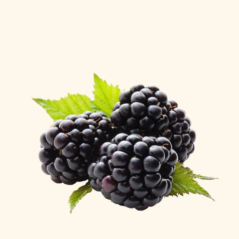 Black Raspberry Fragrance Oil