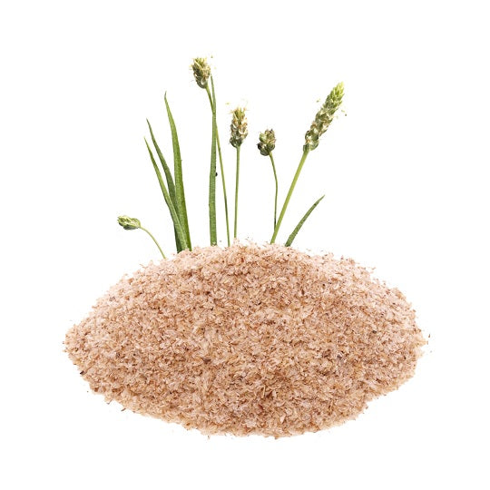 Psyllium Husk Powder
